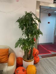 -DR.JY祛痘皮肤管理