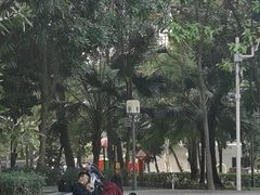 -清湖文化公园