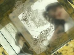 -胶囊画廊