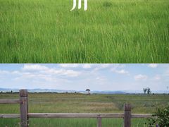 -敕勒川草原