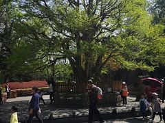 -都江堰普照寺