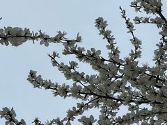 -南开大学(津南校区)