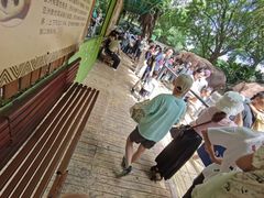 -深圳野生动物园