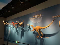 -自贡恐龙博物馆