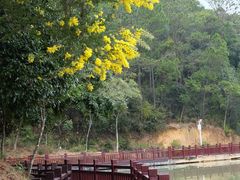 -广州白江湖森林公园