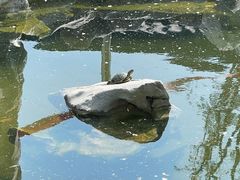 -龙华寺