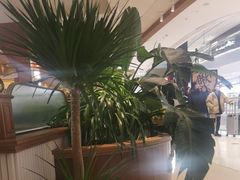 -椒爱水煮鱼川菜(皇姑万象汇店)
