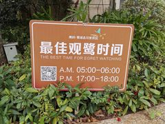 -美的鹭湖森林度假区
