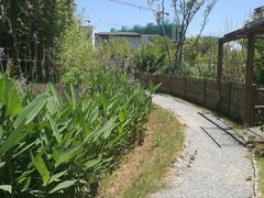 -田园东方蜜桃村的田野营地