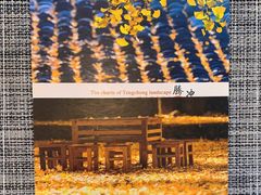 -YLK云南小粒咖啡·云里咖(二号店)