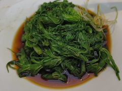 -滇铺子·云南特色菜·第九届野生菌美食节(东风东路c86店)