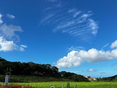 -济州森林小火车生态公园