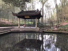 -西湖风景区十里琅珰-五云山