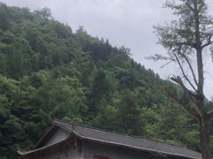 -鹿院坪生态旅游景区