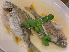盐油蒸黄脚立-大门水乡·顺德菜