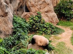 -香港海洋公园