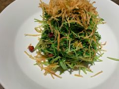 巧拌豆苗-四季民福烤鸭店(西单华威约饭街店)