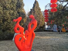 -团结湖公园