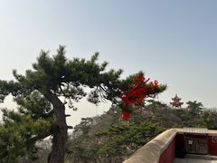 -天津盘山风景名胜区