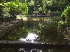 -成都市活水公园