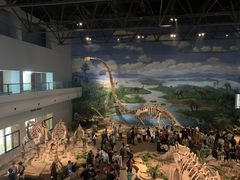 -自贡恐龙博物馆