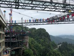 -梦幻奥陶纪景区