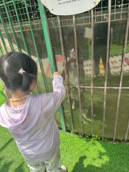 -萌宠亲子动物乐园(槐房万达店)