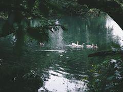 -婺源月亮湾