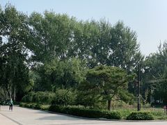 -北京麋鹿生态实验中心