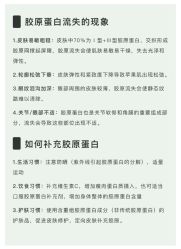 点击看大图 -玛莲朵·海菲秀冰珀科
