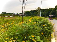 -青龙山国家森林公园
