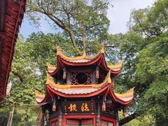 -峨眉山报国寺
