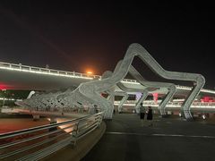 -演武大桥观景平台