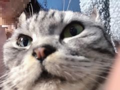 -极木²邸 人与宠物·互动社区