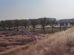 -嘉北郊野公园