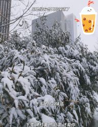 -Oasis Beauty水磨坊科技美肤中心