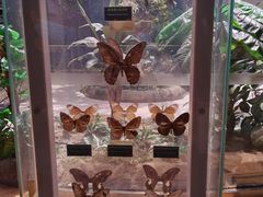 -陕西自然博物馆