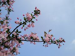 -南京古林公园