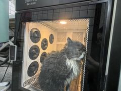 -瑞派宠物医院·犬猫全科·猫友好(宾水西道店)