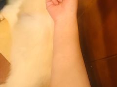 -李小姐の猫咖啡馆(五角场店)