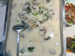菌鲜鱼-洞庭家宴·头牌甲鱼(广渠门店)
