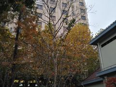 -徐家汇源景区-衡山公园