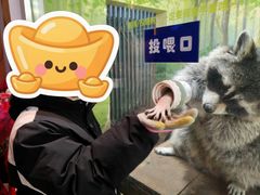 -大连圣亚海洋世界