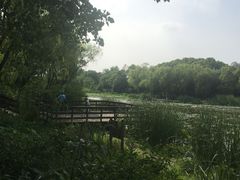 -新江湾城公园