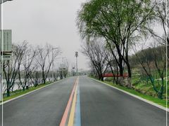 -羊山湖公园
