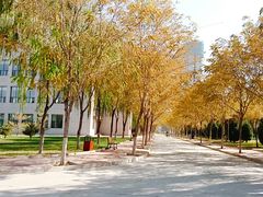 -兰州财经大学(和平校区)