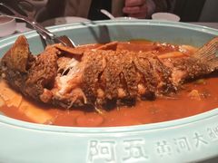 -阿五黄河大鲤鱼(英协路店)