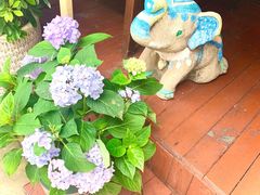 -半坡九号老挝冰咖啡