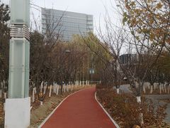 -大兴滨河森林公园