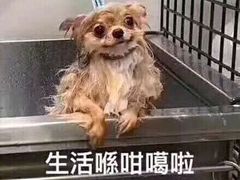 -红叶蛋糕(广达路总店)